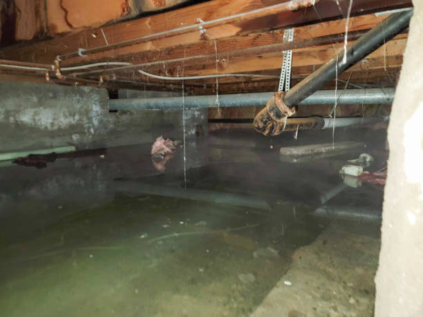Sewage cleanup and water damage restoration in Twin Lakes, CA