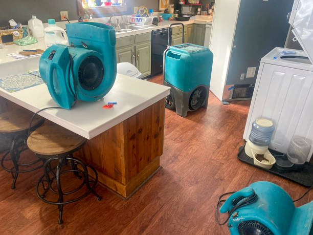 Best Ceiling water damage repair  in Twin Lakes, CA