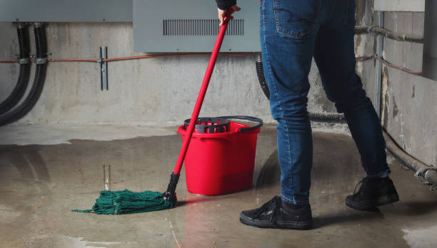 Reliable Twin Lakes, CA Water damage restoration Solutions