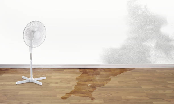 Best Water damage restoration near me  in Twin Lakes, CA