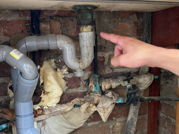 Reliable Twin Lakes, CA Water damage restoration Solutions