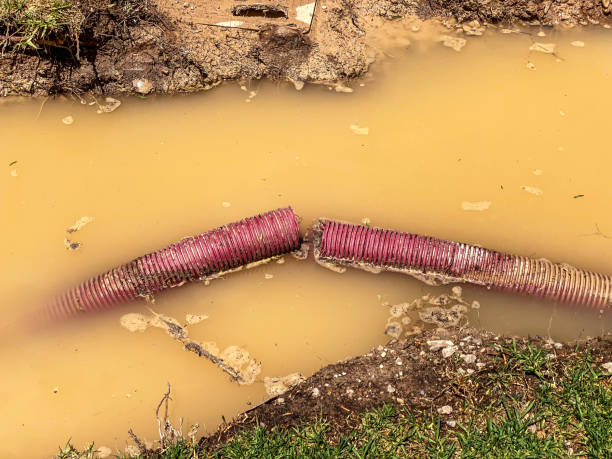 Best 24/7 water damage repair  in Twin Lakes, CA